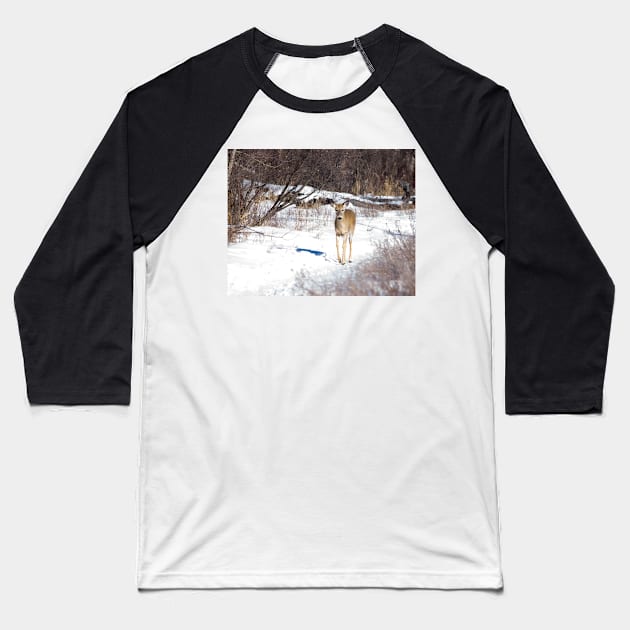 White Tailed Deer. Baseball T-Shirt by CanadianWild418